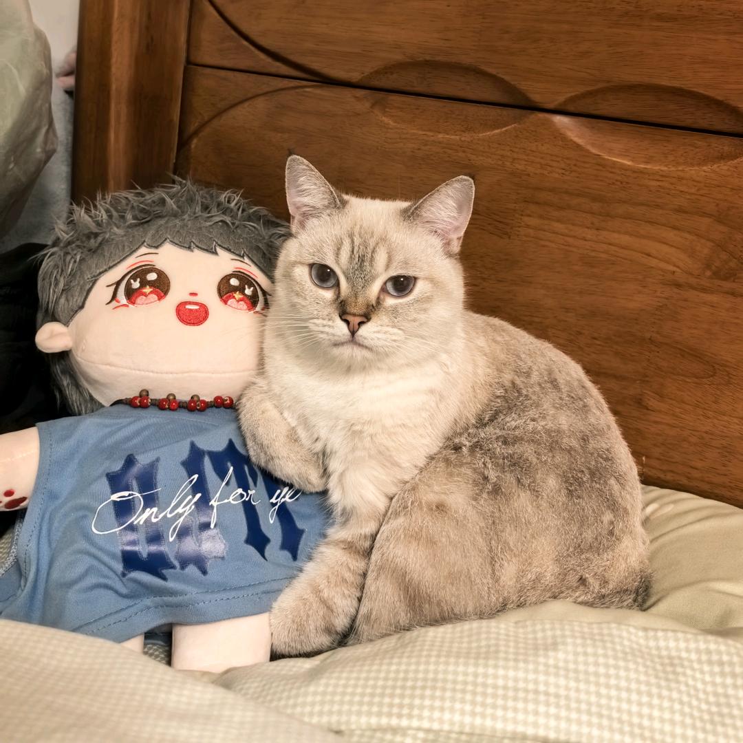 发财财财财财财