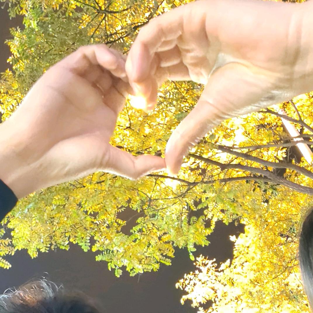 ᝰꫛꫀ多喜ོ乐❤️