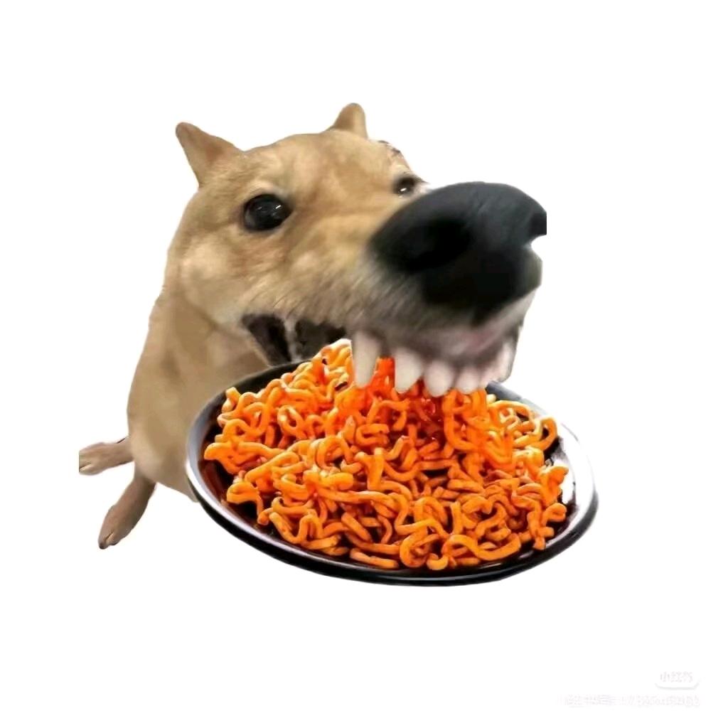 塞彤