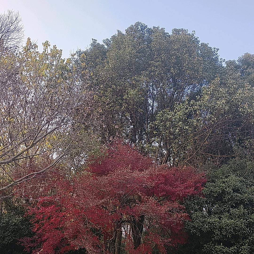 毒天蝎@生人勿近