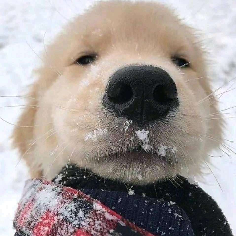 阿信。
