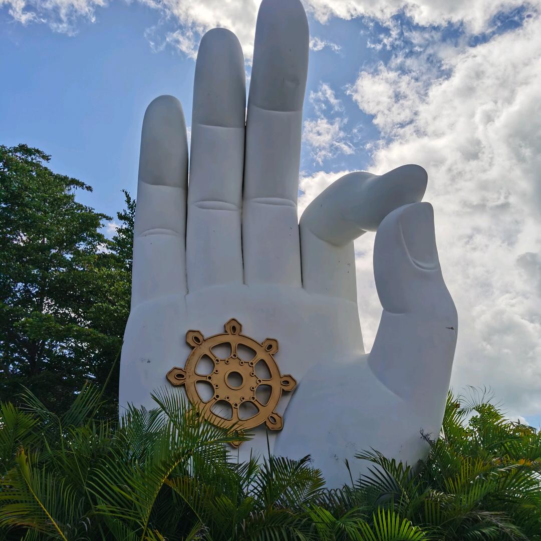 xia.芹（六十六）小号