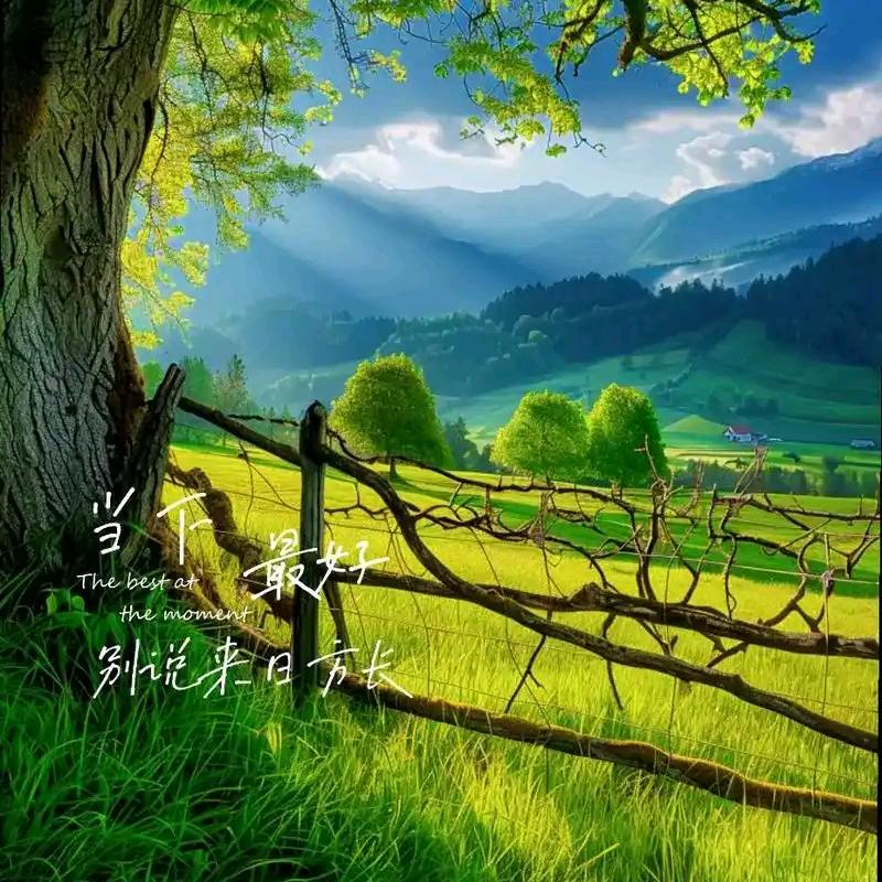 心若不动，风又奈何