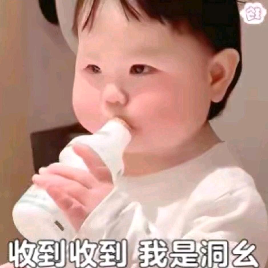 菌子