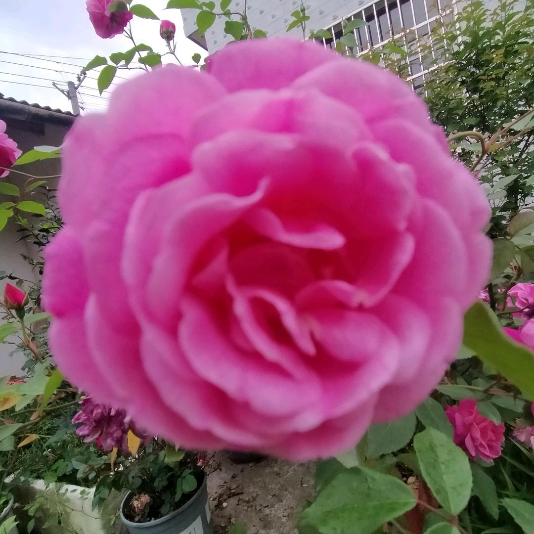 我觉得一家人和睦最重要