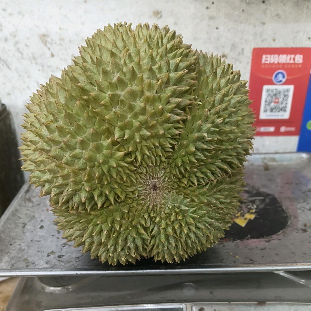 外砂日日鲜
