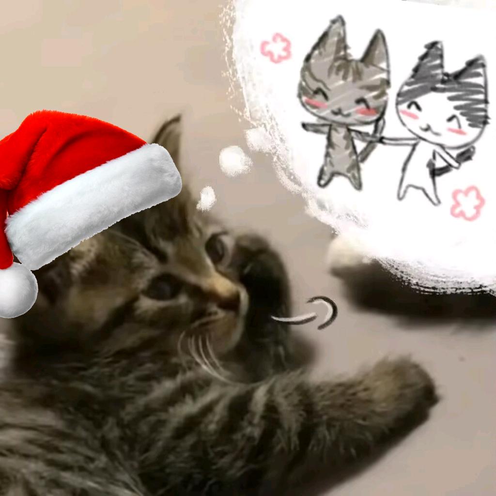 7k7k  (已见过邓紫棋版)