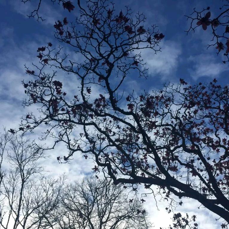 满江星光，惆怅相思；抑郁落日，思绪漫长