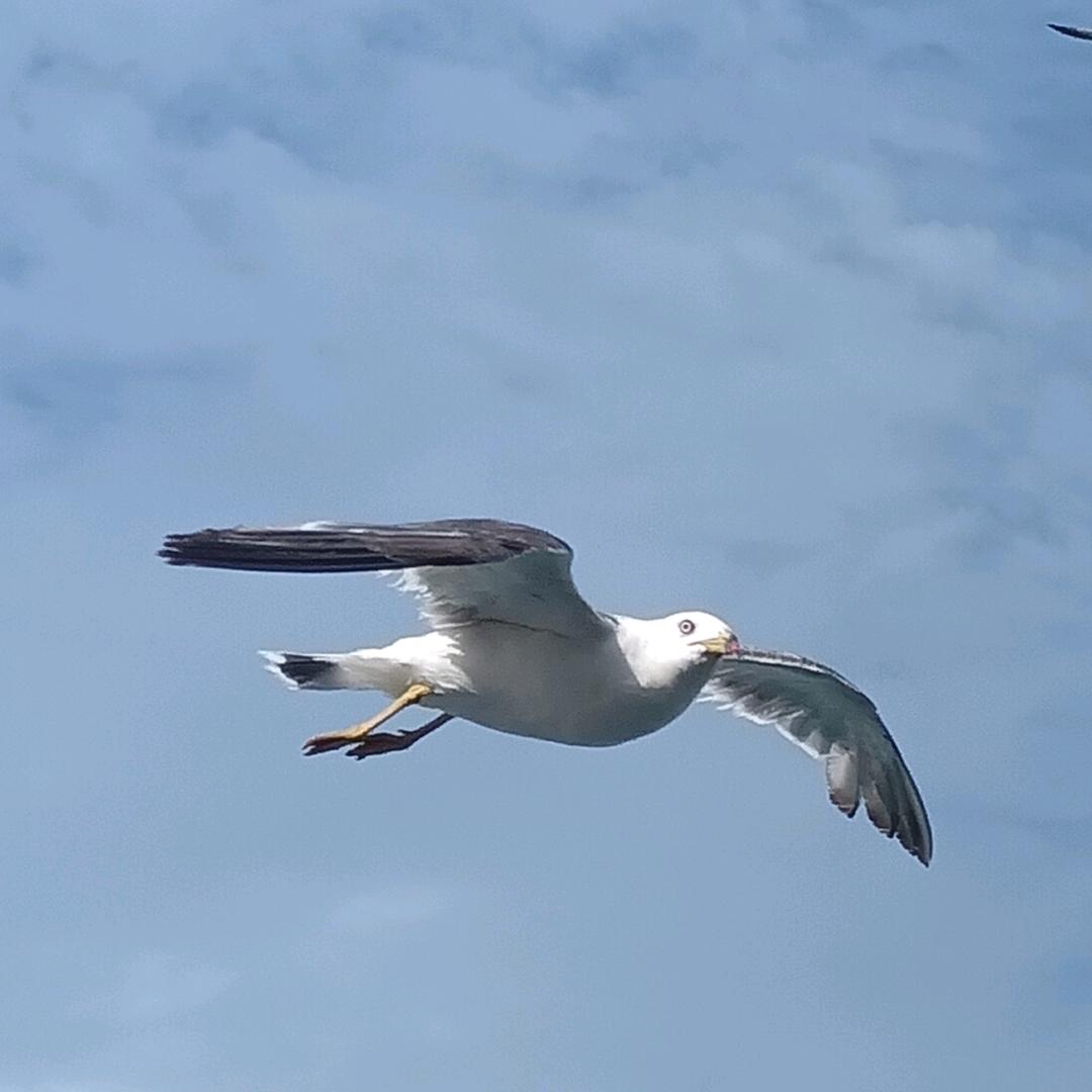 乡村旅游