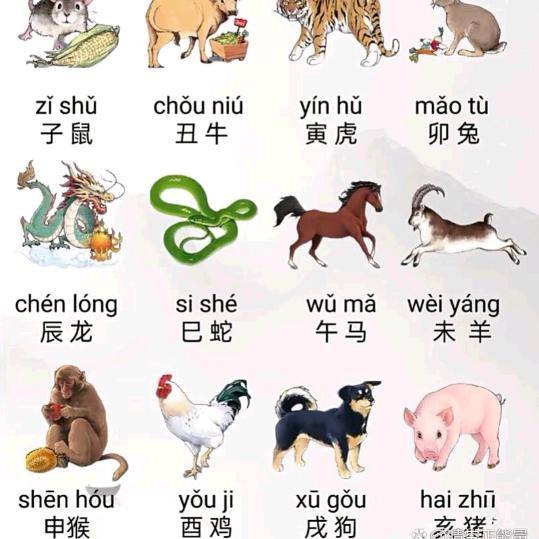 發發₍˄·͈༝·͈˄*₎◞ ̑̑