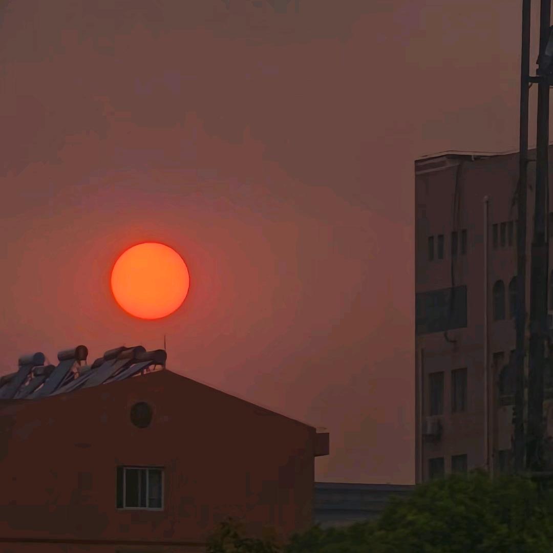 半世流离