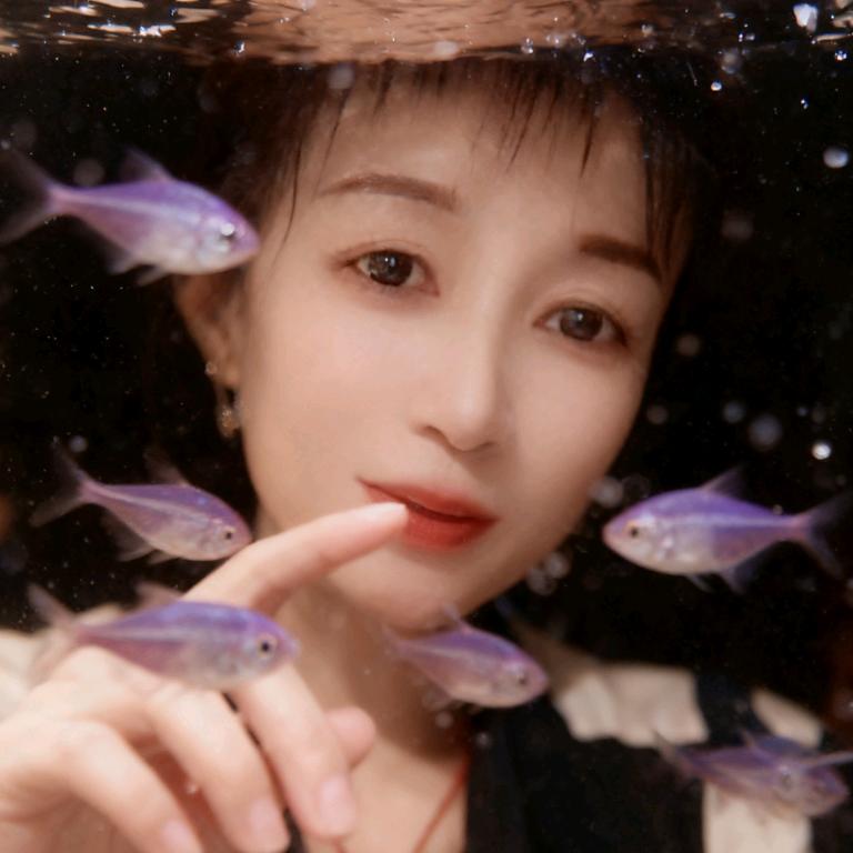 梦尽缘去yangqianxian