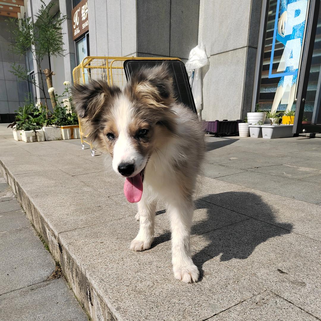 🌈🌈香水有毒