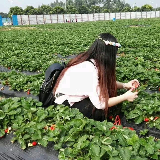 苹果🍎