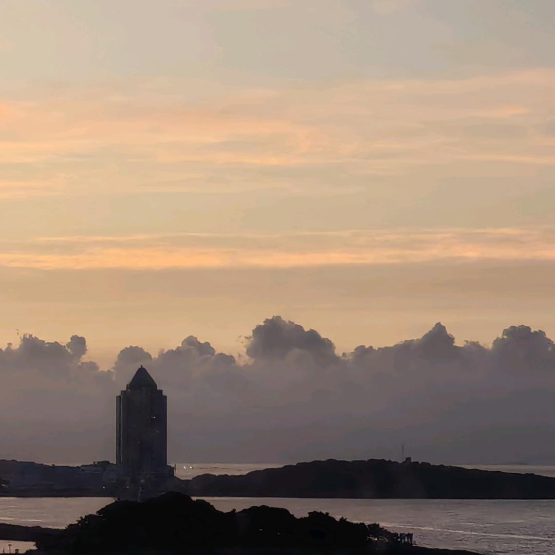 一个不太会拍的bor~