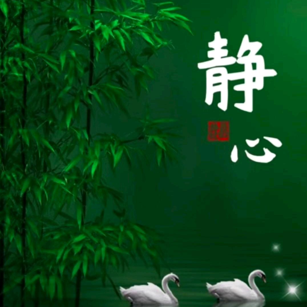 面对现实🫐🫐