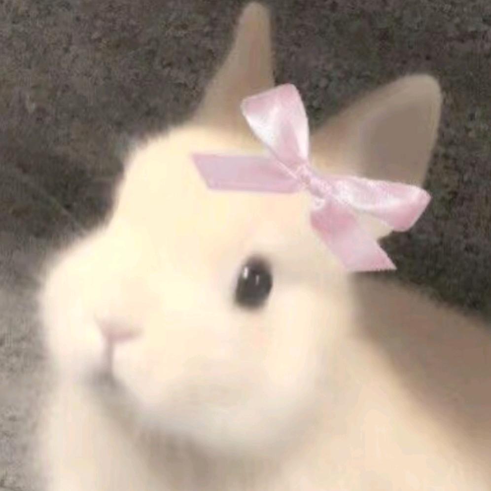 y🍰