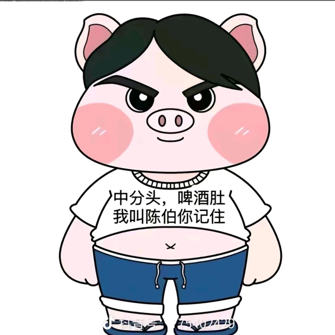 🌈吉尼斯世界记录山雪认证官_陈伯全能王