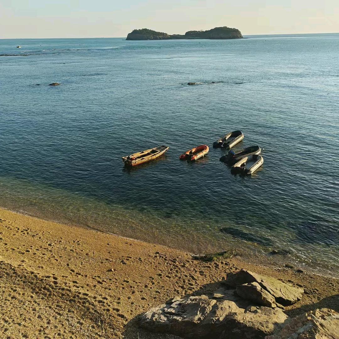 会飞的鱼🐟