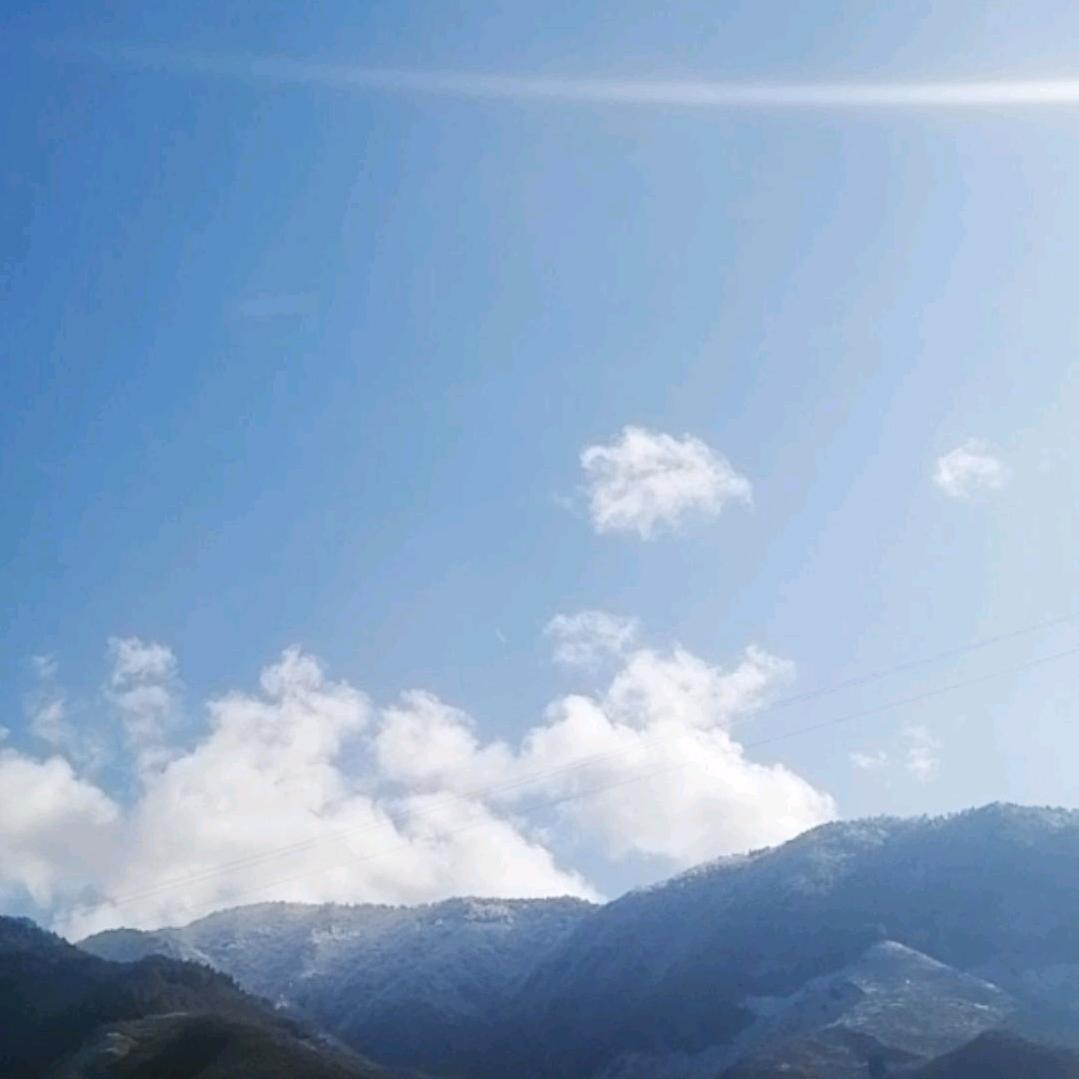 爱就要死心塌地