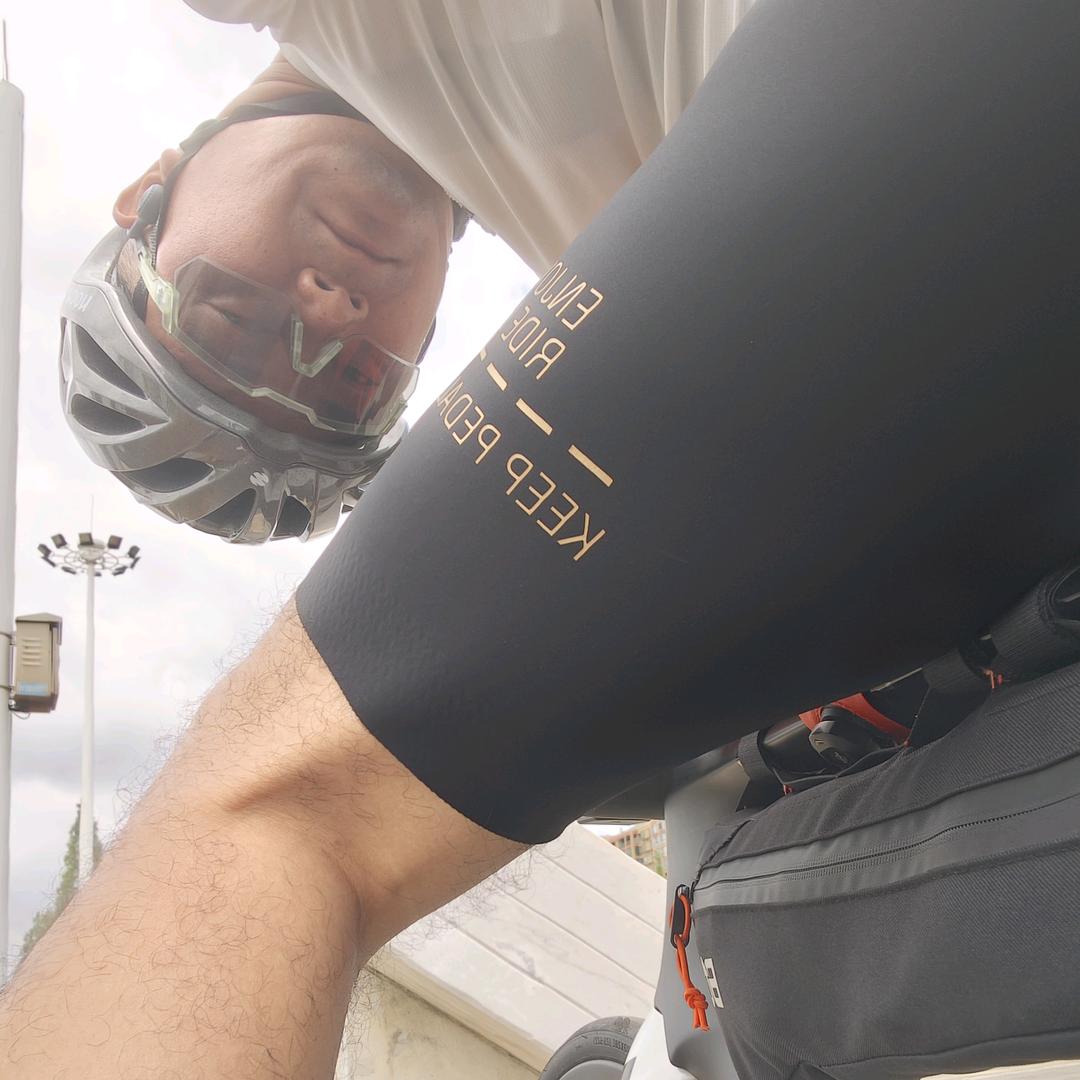听羽随风