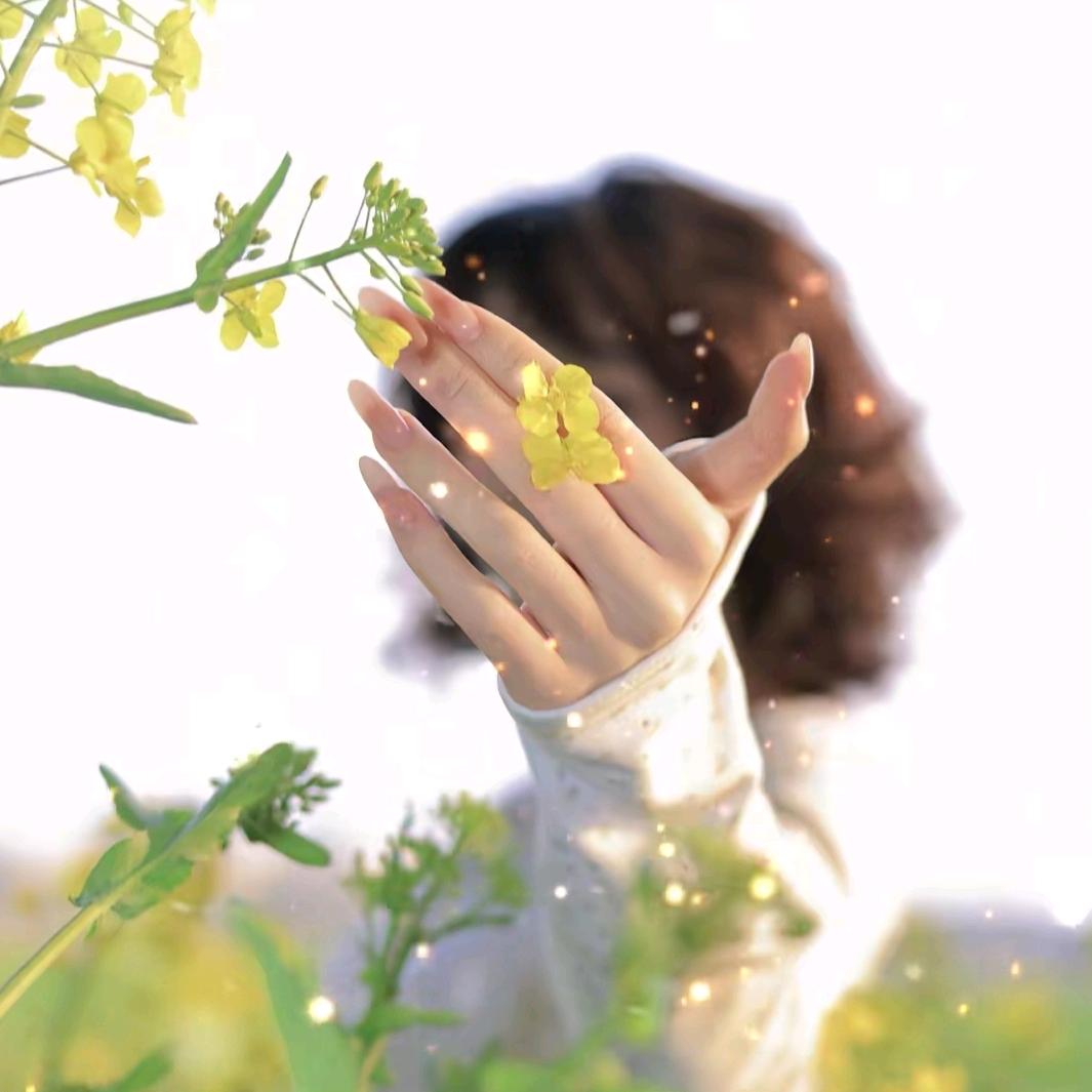 随心|｡･㉨･)っ♡