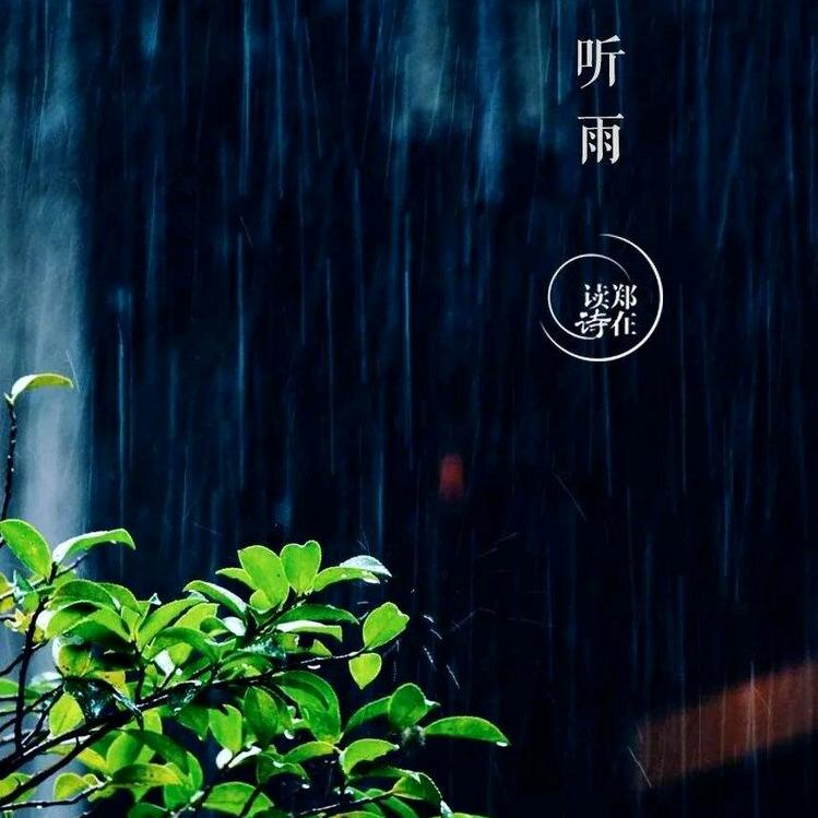 🌧听雨续忆🌧