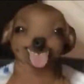 仙
