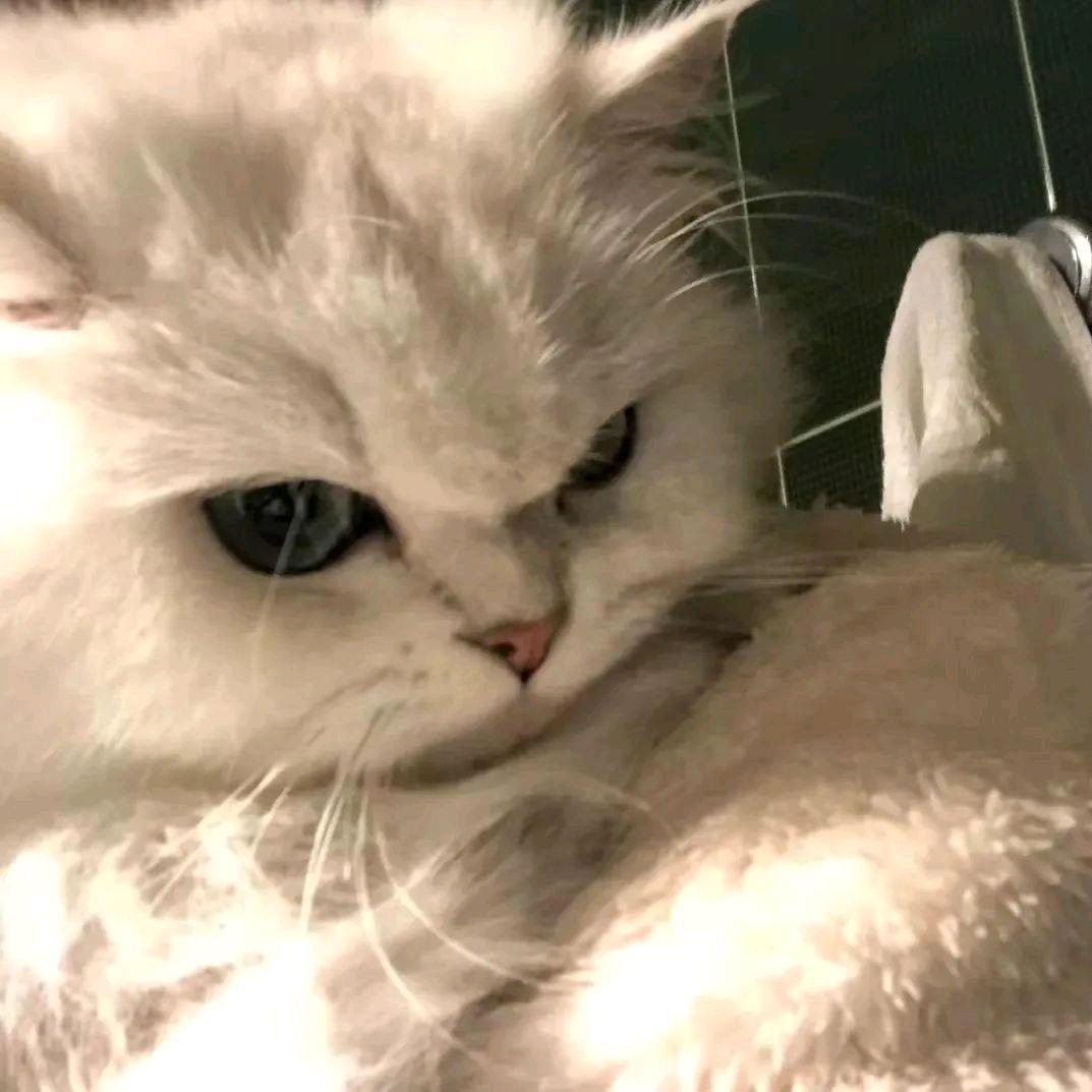 迷途