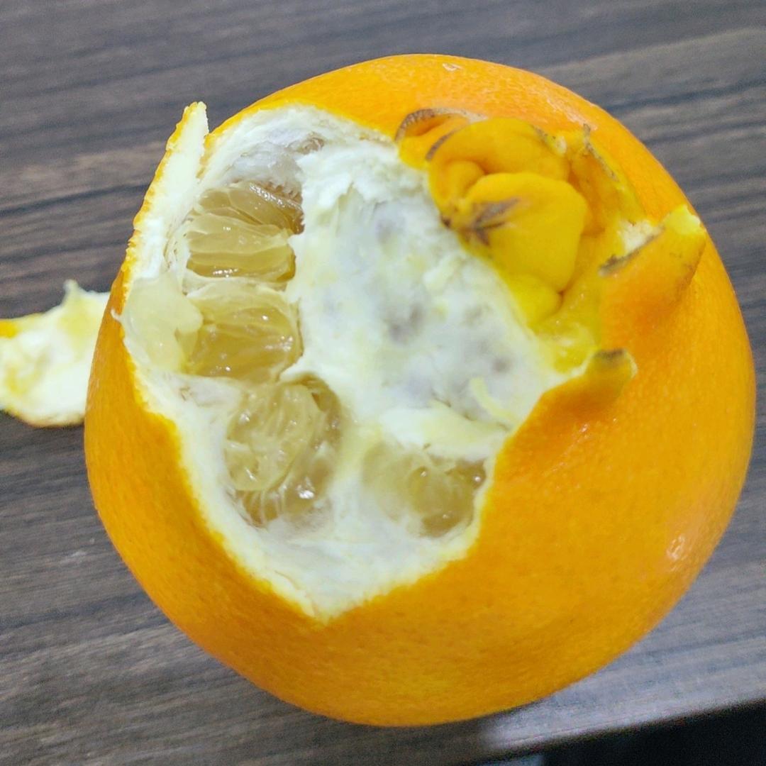 无忧导演的故事