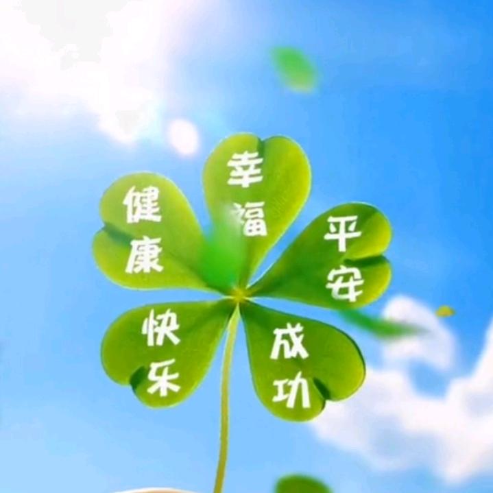 💰钱多多💰