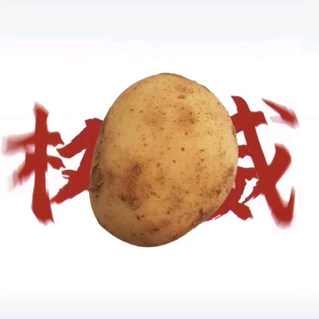 potato大王