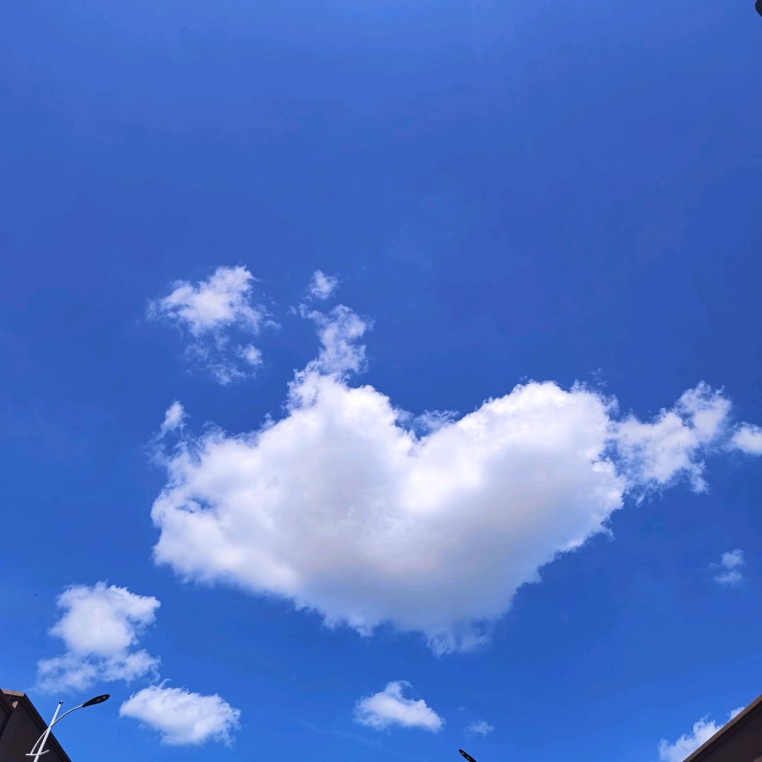 莽村五十多岁的老爷们