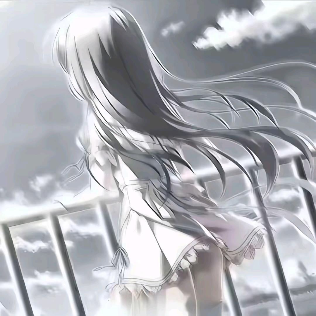 鲤鱼kun