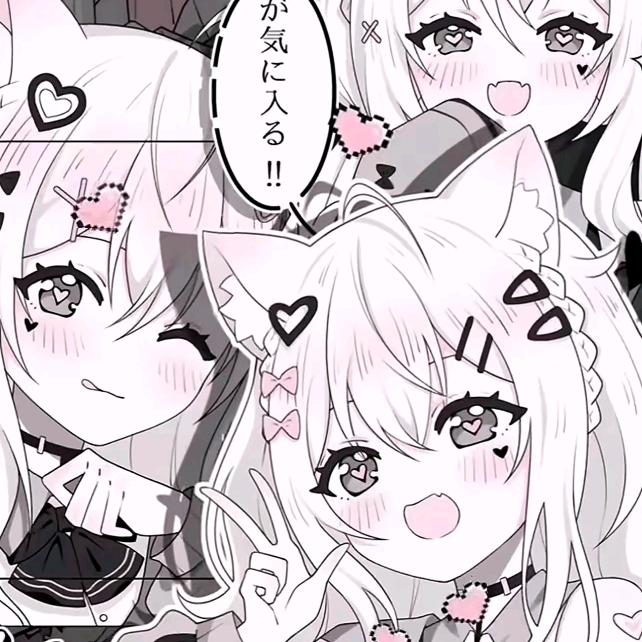 可爱小猫咪🐱
