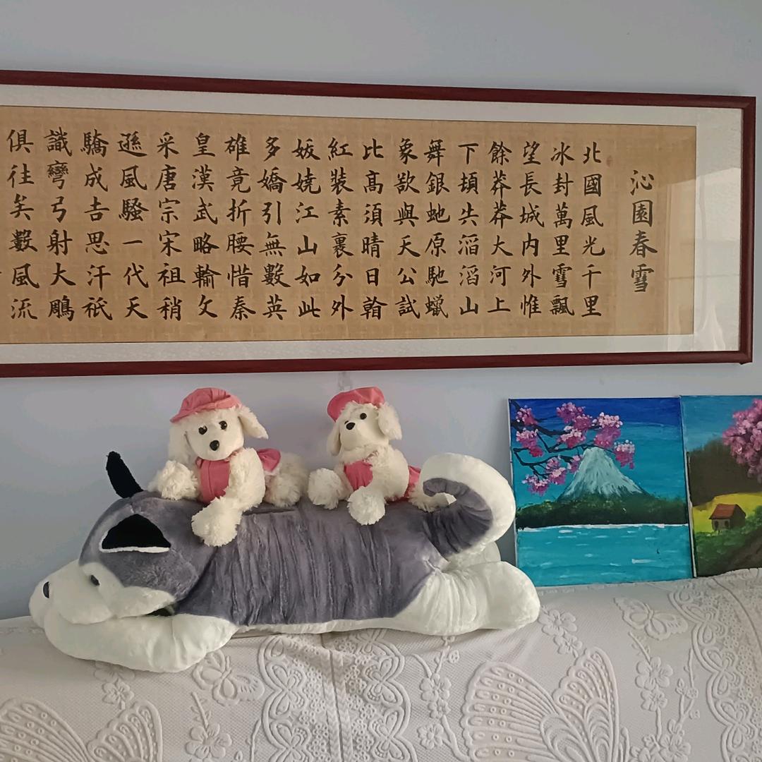 日照清华盛世