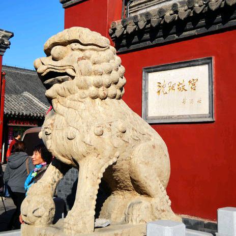 沈阳导游（旅行推荐官）