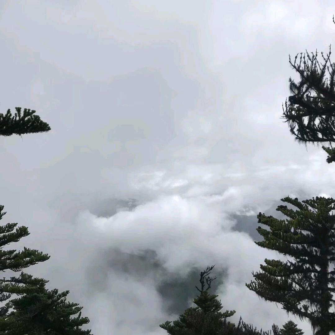 @新生活@