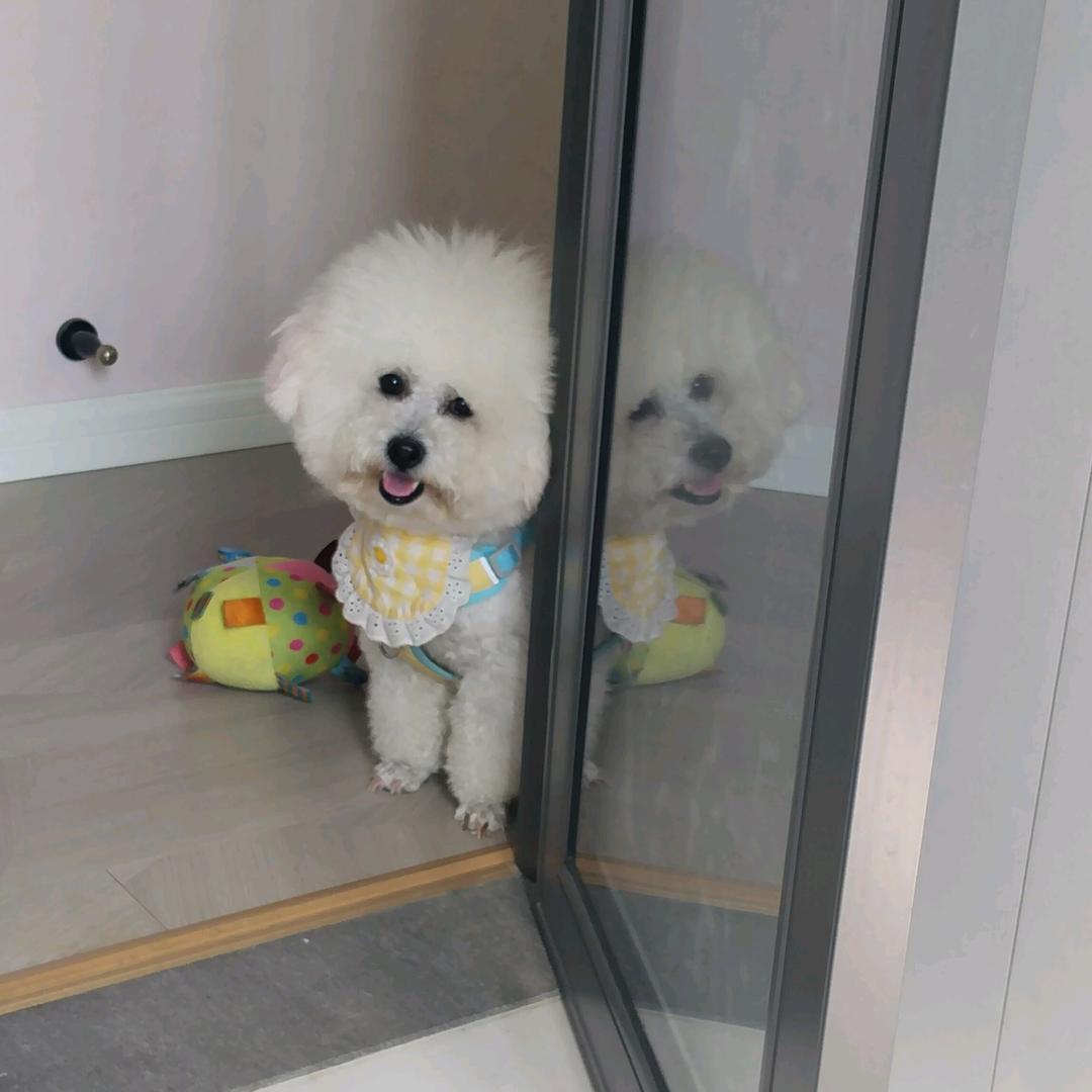 贵州铜仁姑娘在江西