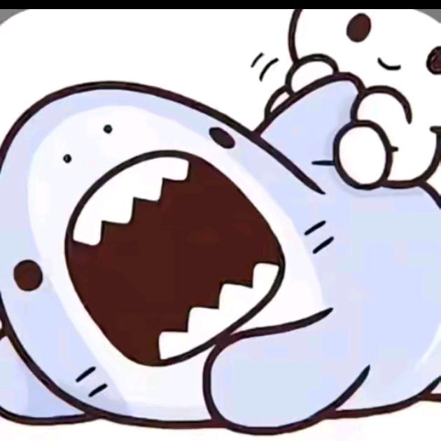 小智