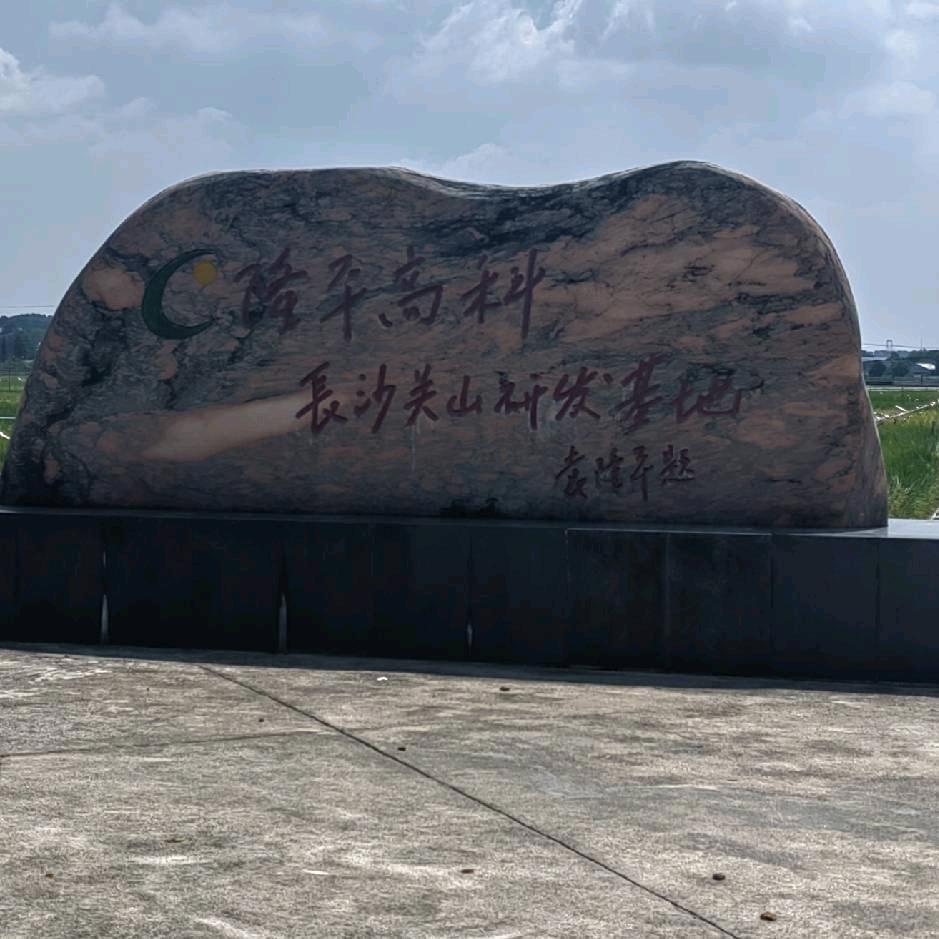 单身大叔