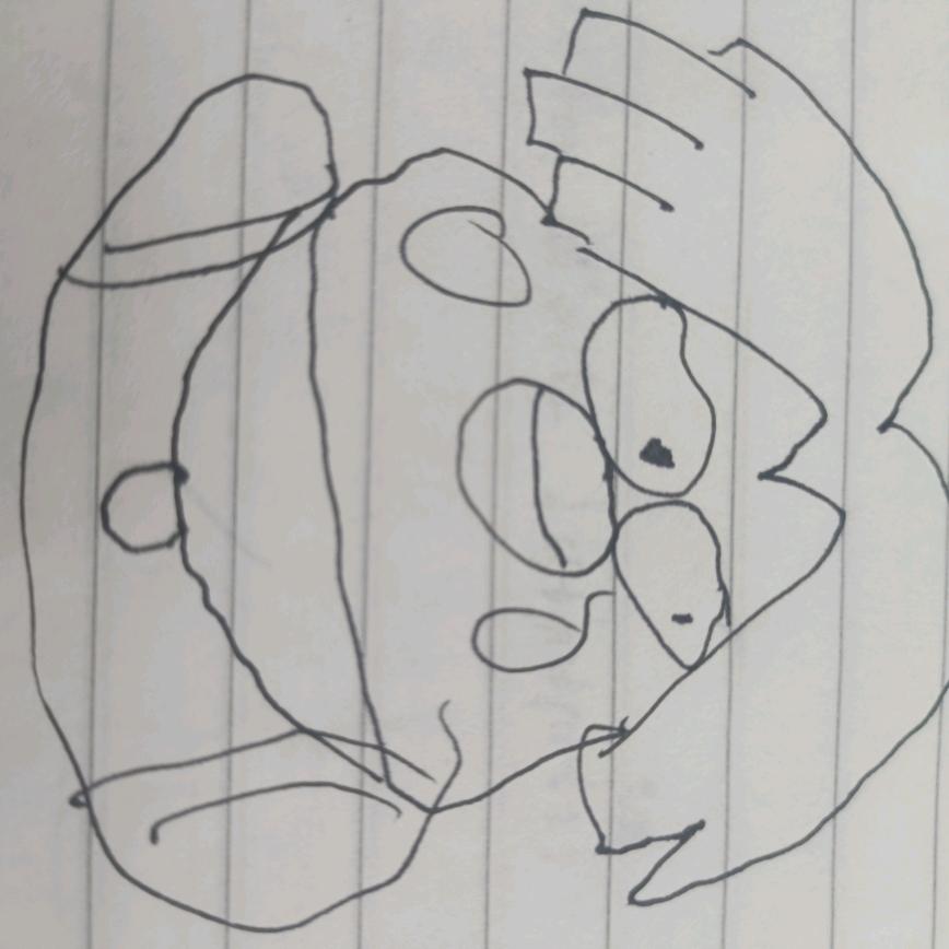 淡淡的游