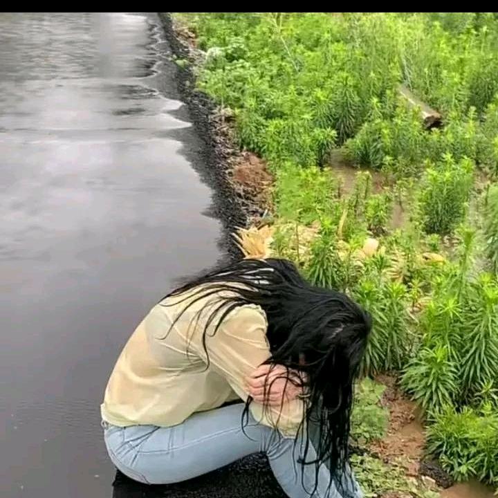 树叶飘落