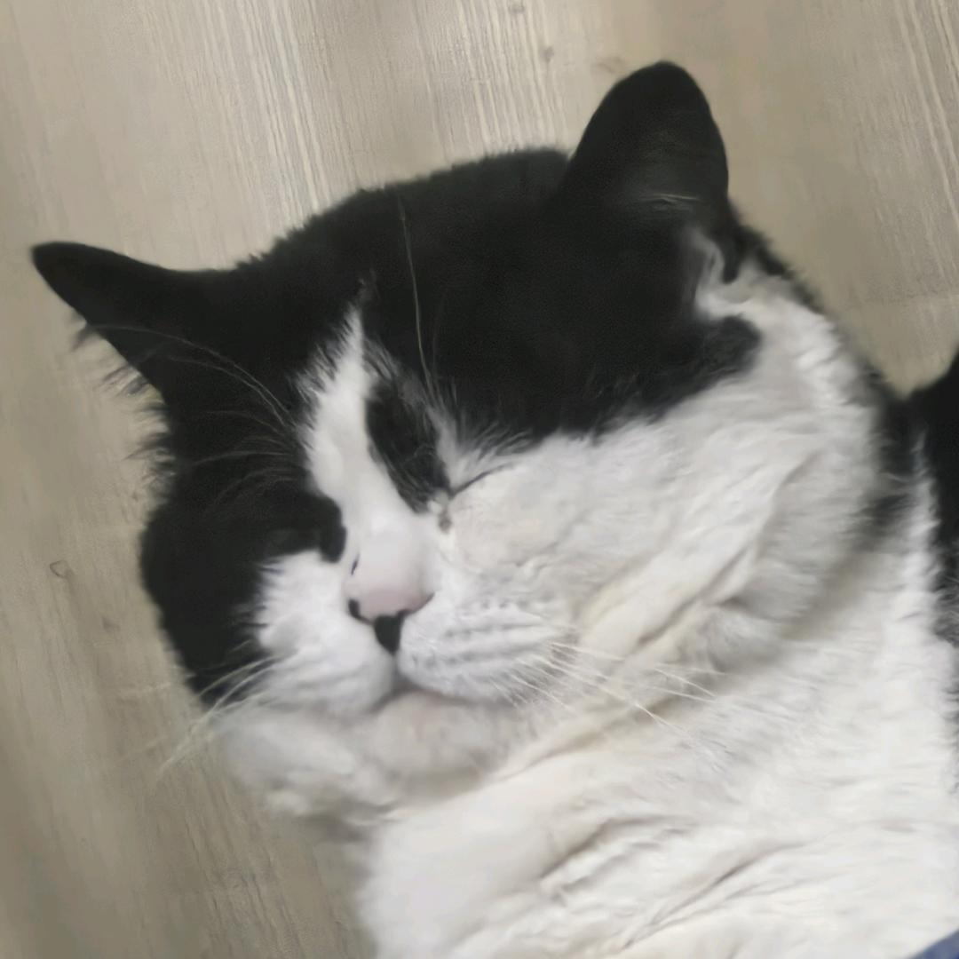🔆Boos Holeᵃᵗ 🔆