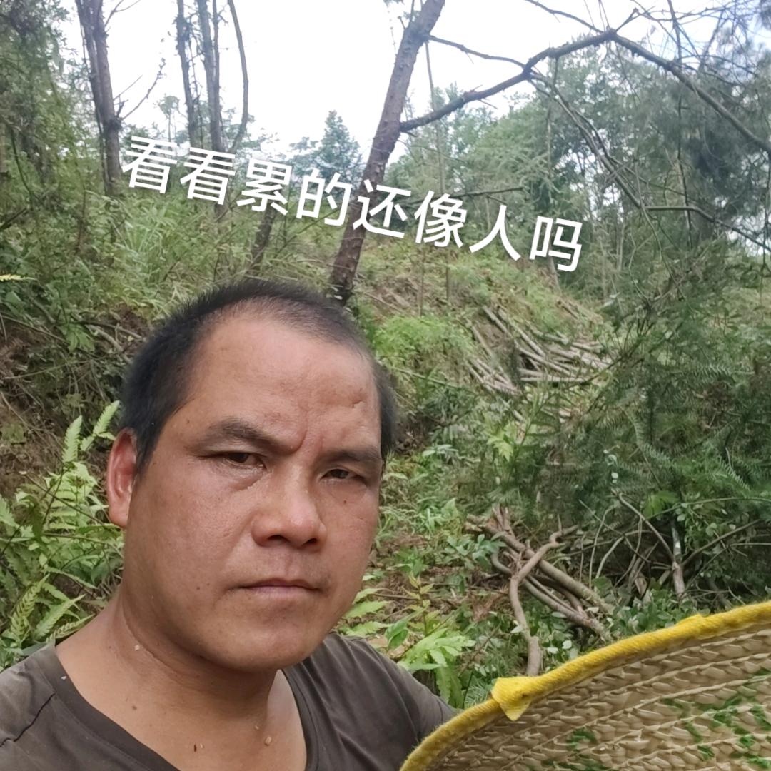 记录每天的酸甜苦辣