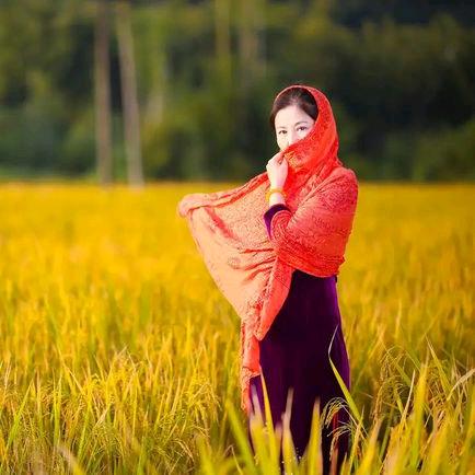 别爱我像个朋友