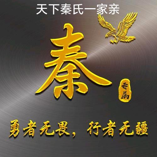 秦氏家族  墨宸