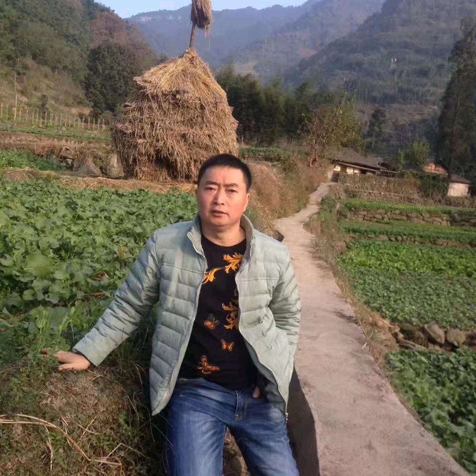 用户835733740146田师