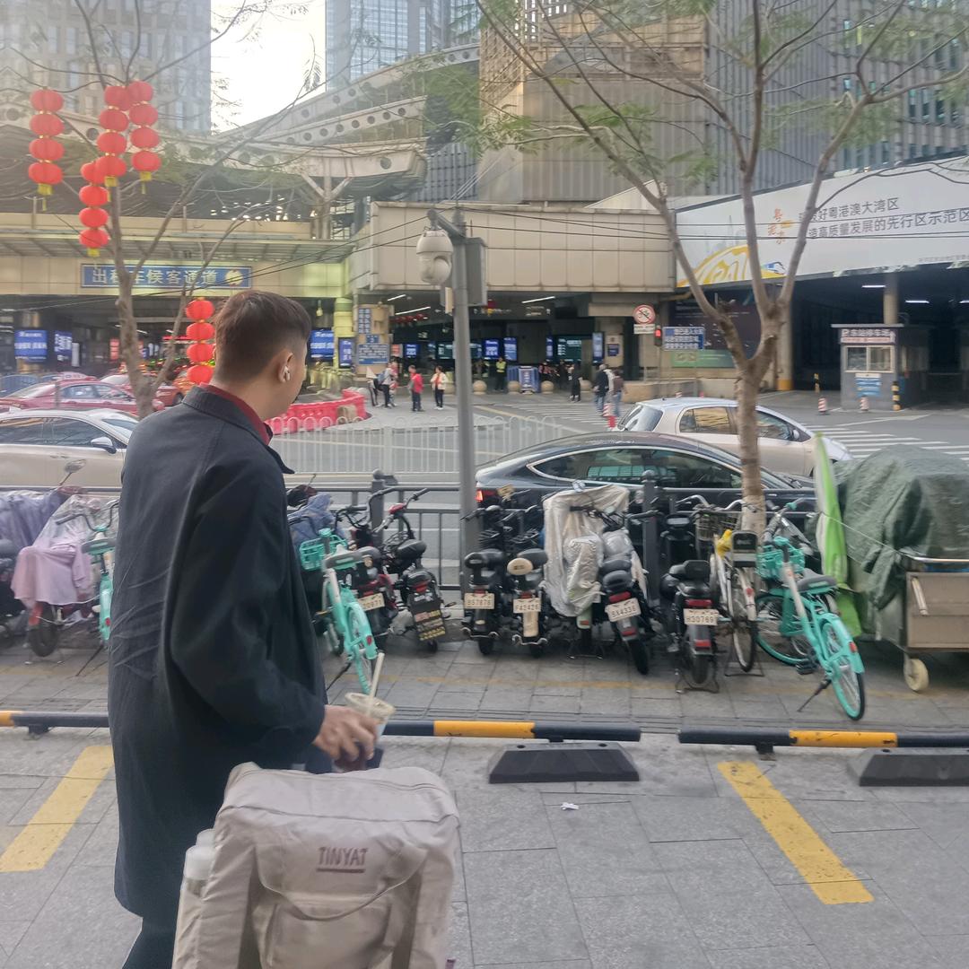 淡若清风