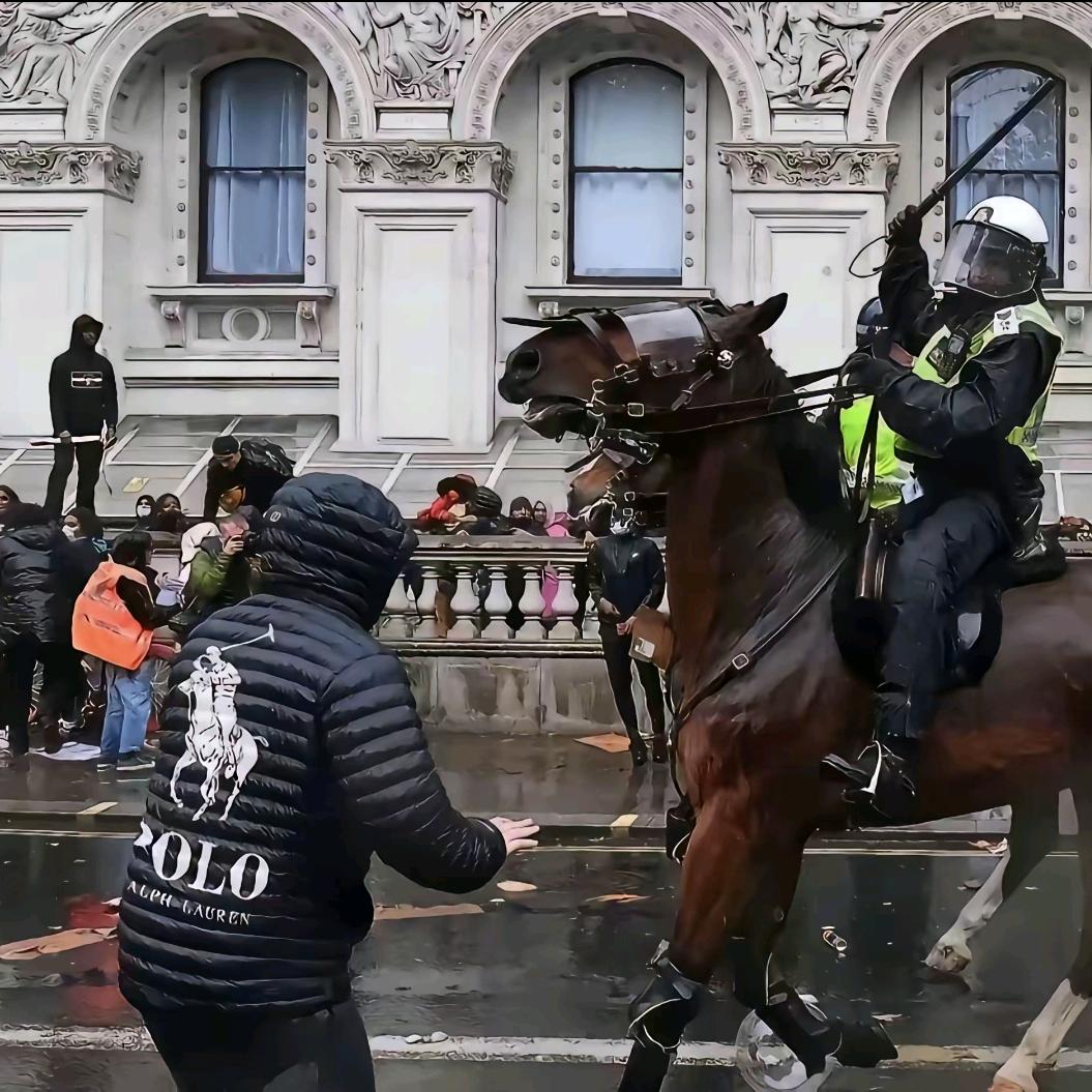 不吃酸菜（见过小雨版）
